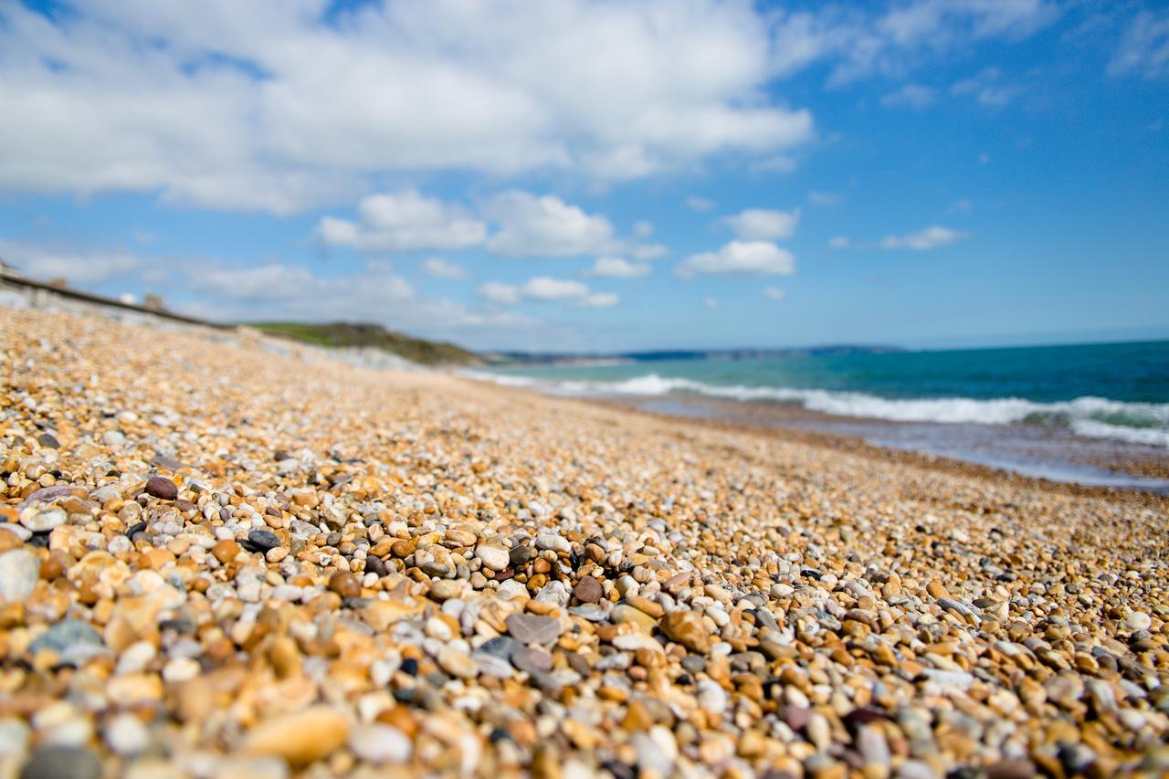 Beesands The Cricket Inn מראה חיצוני תמונה